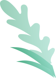 decorative leaf